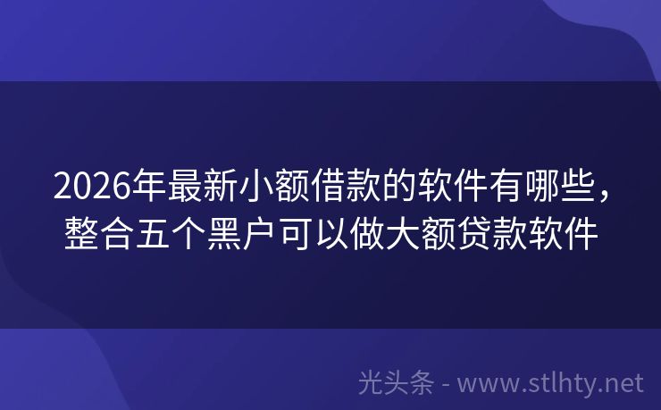 2026年最新小额借款的软件有哪些，整合五个黑户可以做大额贷款软件