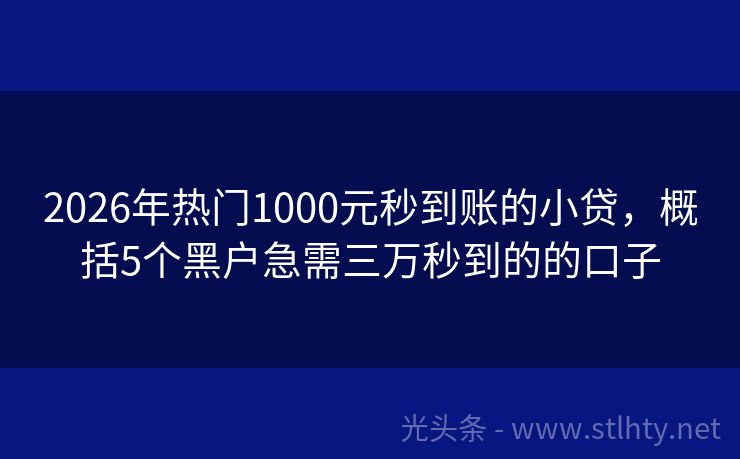 2026年热门1000元秒到账的小贷，概括5个黑户急需三万秒到的的口子