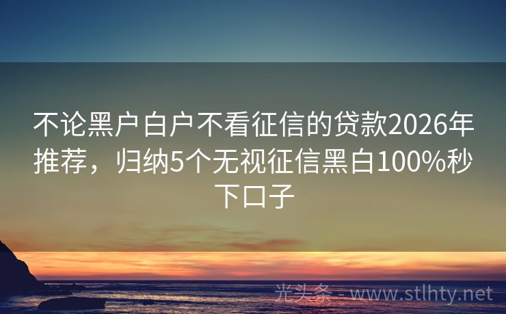 不论黑户白户不看征信的贷款2026年推荐，归纳5个无视征信黑白100%秒下口子