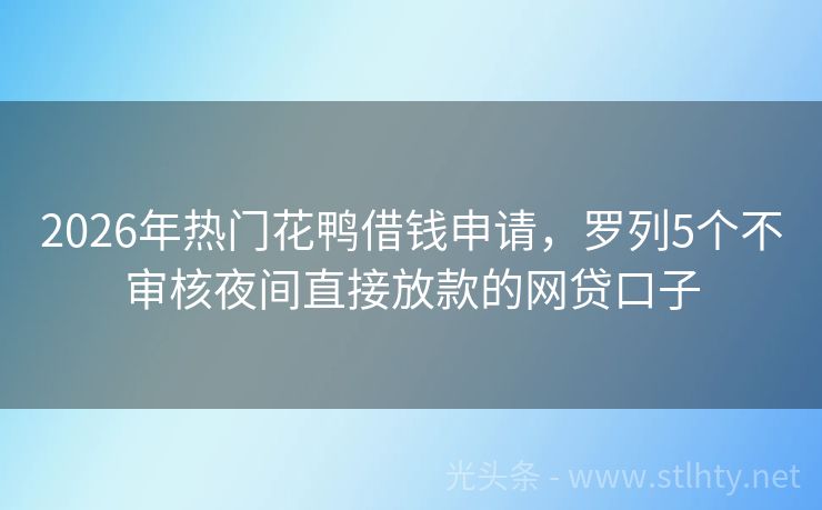 2026年热门花鸭借钱申请，罗列5个不审核夜间直接放款的网贷口子