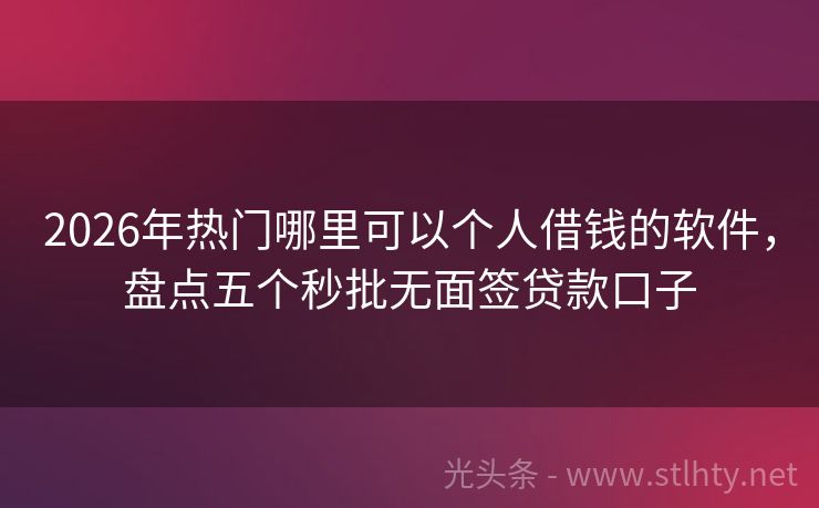 2026年热门哪里可以个人借钱的软件，盘点五个秒批无面签贷款口子