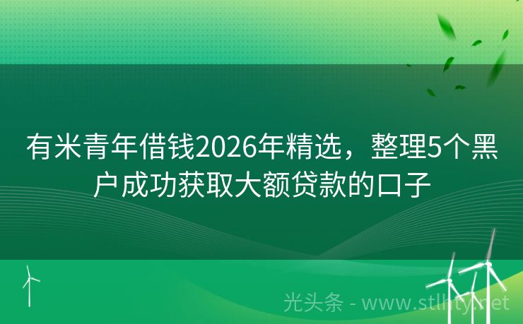 有米青年借钱2026年精选，整理5个黑户成功获取大额贷款的口子