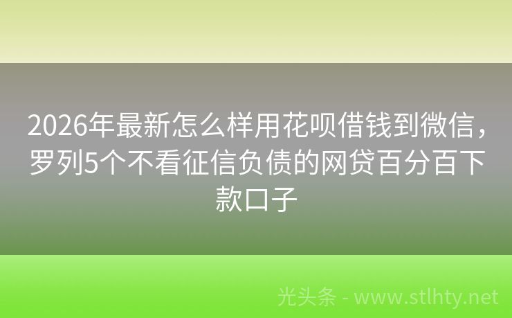 2026年最新怎么样用花呗借钱到微信，罗列5个不看征信负债的网贷百分百下款口子