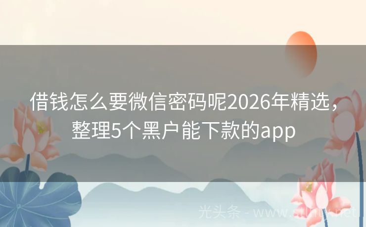 借钱怎么要微信密码呢2026年精选，整理5个黑户能下款的app