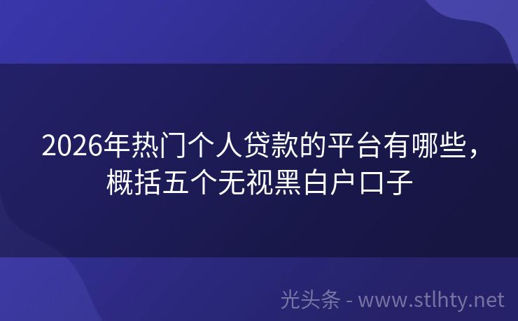 2026年热门个人贷款的平台有哪些，概括五个无视黑白户口子