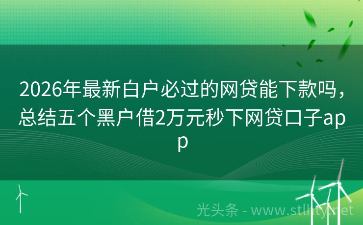 2026年最新白户必过的网贷能下款吗，总结五个黑户借2万元秒下网贷口子app