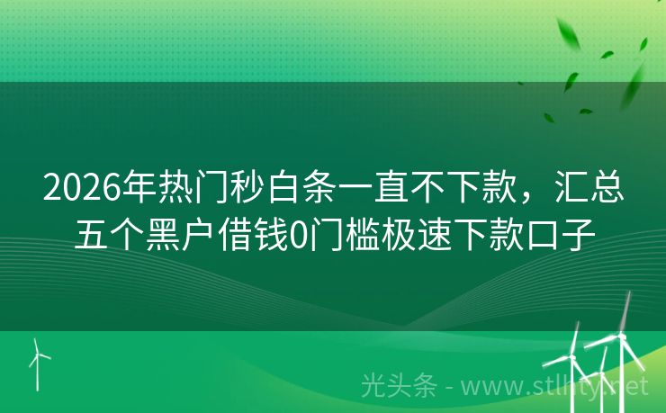 2026年热门秒白条一直不下款，汇总五个黑户借钱0门槛极速下款口子