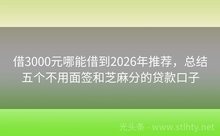 借3000元哪能借到2026年推荐，总结五个不用面签和芝麻分的贷款口子