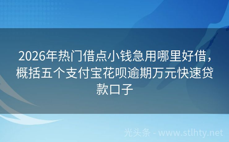 2026年热门借点小钱急用哪里好借，概括五个支付宝花呗逾期万元快速贷款口子