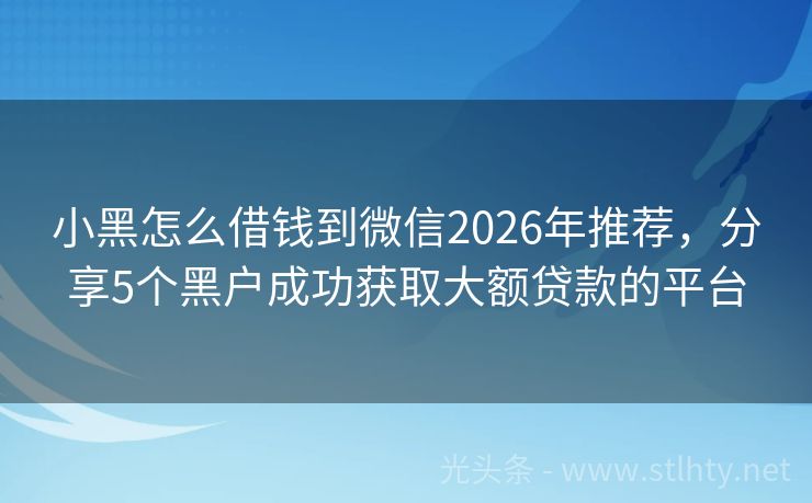 小黑怎么借钱到微信2026年推荐，分享5个黑户成功获取大额贷款的平台