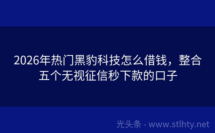 2026年热门黑豹科技怎么借钱，整合五个无视征信秒下款的口子