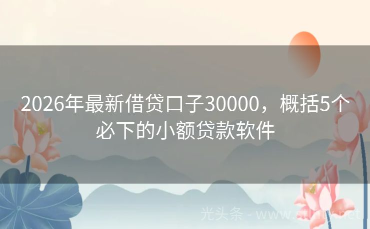 2026年最新借贷口子30000，概括5个必下的小额贷款软件