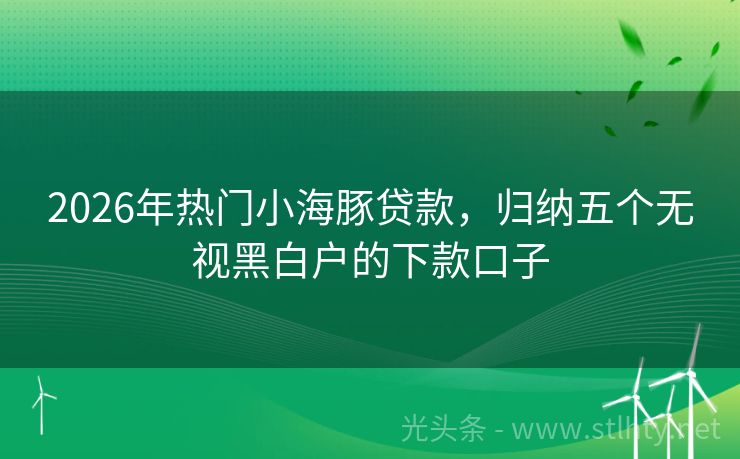 2026年热门小海豚贷款，归纳五个无视黑白户的下款口子