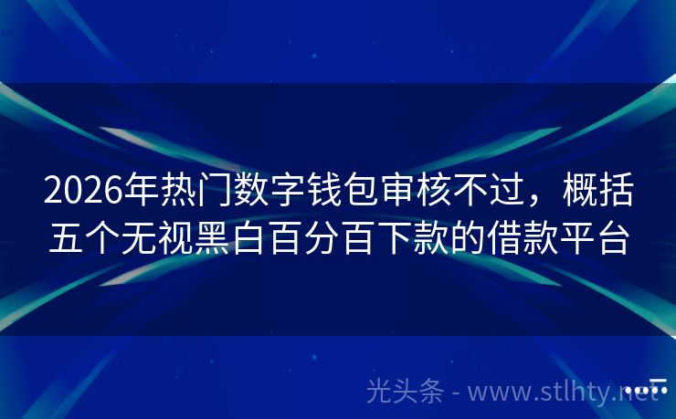 2026年热门数字钱包审核不过，概括五个无视黑白百分百下款的借款平台