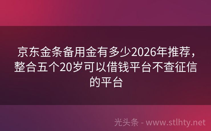 京东金条备用金有多少2026年推荐，整合五个20岁可以借钱平台不查征信的平台