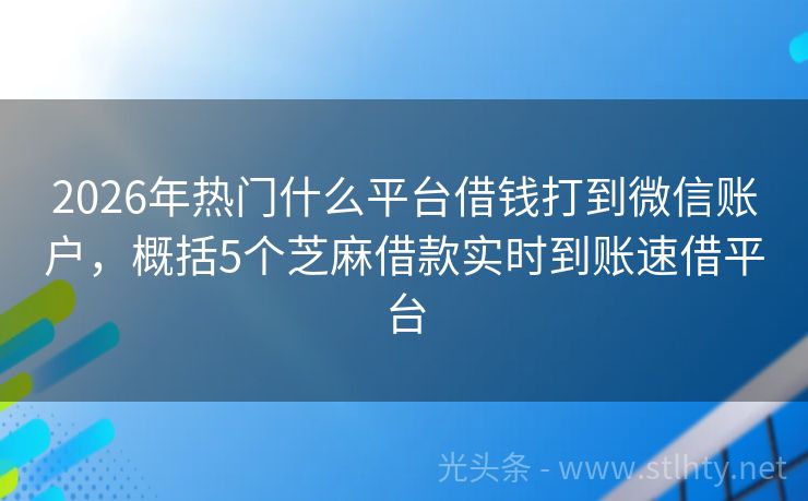 2026年热门什么平台借钱打到微信账户，概括5个芝麻借款实时到账速借平台
