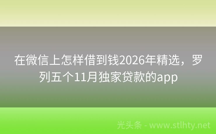 在微信上怎样借到钱2026年精选，罗列五个11月独家贷款的app