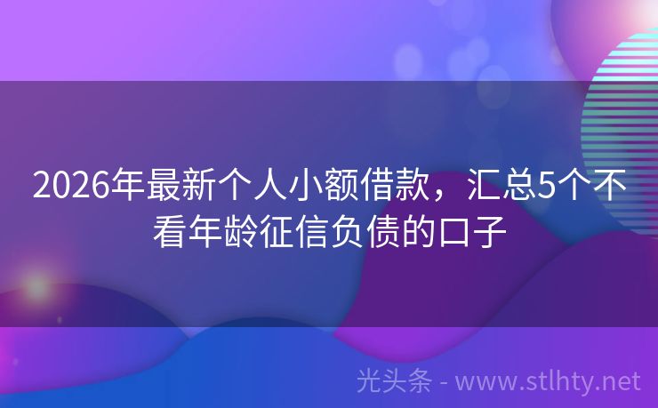 2026年最新个人小额借款，汇总5个不看年龄征信负债的口子