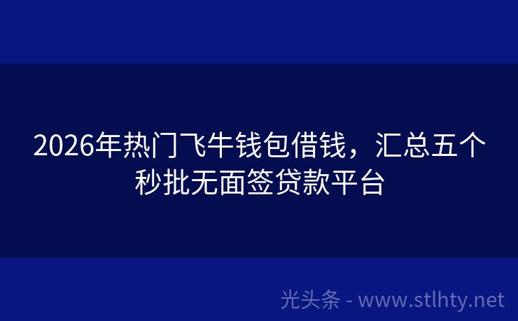 2026年热门飞牛钱包借钱，汇总五个秒批无面签贷款平台