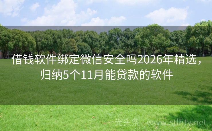 借钱软件绑定微信安全吗2026年精选，归纳5个11月能贷款的软件