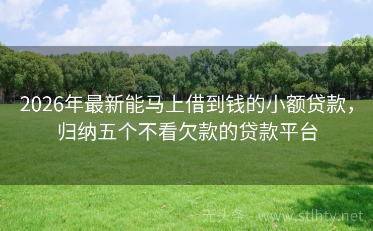 2026年最新能马上借到钱的小额贷款，归纳五个不看欠款的贷款平台
