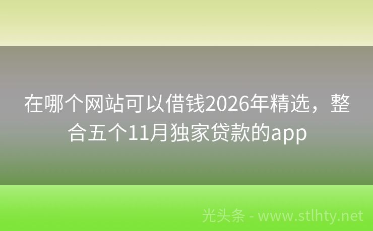在哪个网站可以借钱2026年精选，整合五个11月独家贷款的app