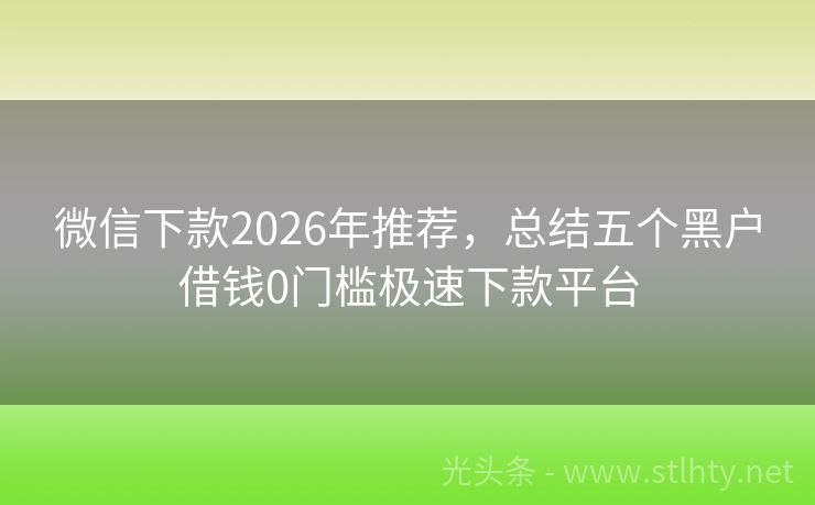 微信下款2026年推荐，总结五个黑户借钱0门槛极速下款平台