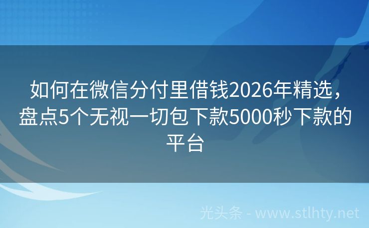 如何在微信分付里借钱2026年精选，盘点5个无视一切包下款5000秒下款的平台