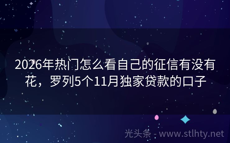 2026年热门怎么看自己的征信有没有花，罗列5个11月独家贷款的口子