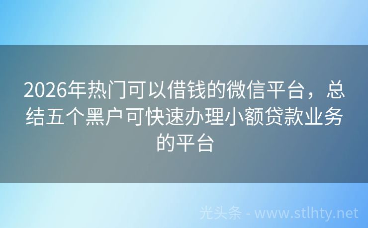 2026年热门可以借钱的微信平台，总结五个黑户可快速办理小额贷款业务的平台