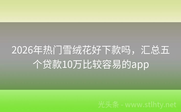2026年热门雪绒花好下款吗，汇总五个贷款10万比较容易的app