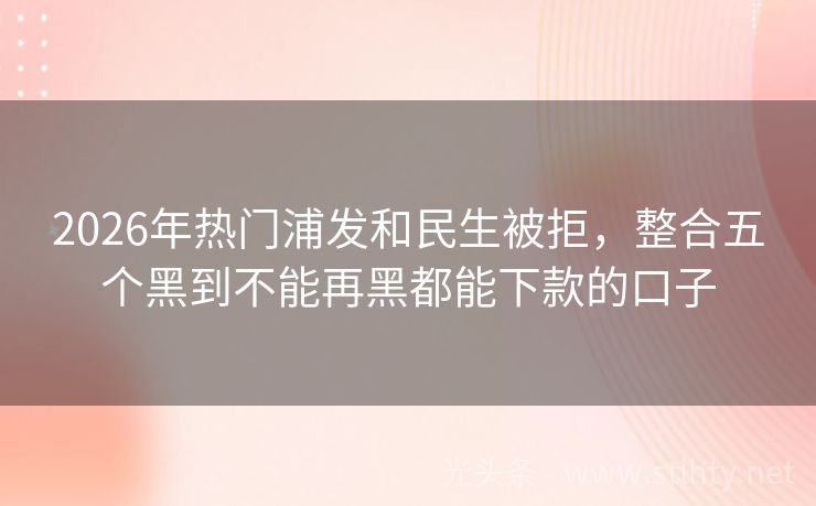 2026年热门浦发和民生被拒，整合五个黑到不能再黑都能下款的口子