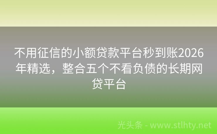 不用征信的小额贷款平台秒到账2026年精选，整合五个不看负债的长期网贷平台