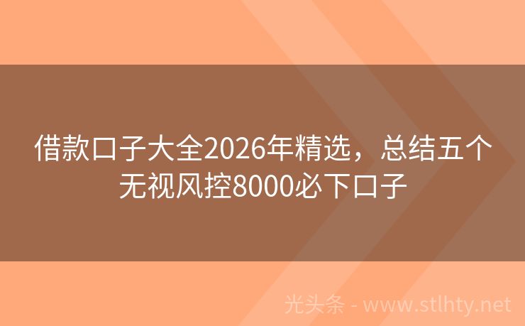 借款口子大全2026年精选，总结五个无视风控8000必下口子
