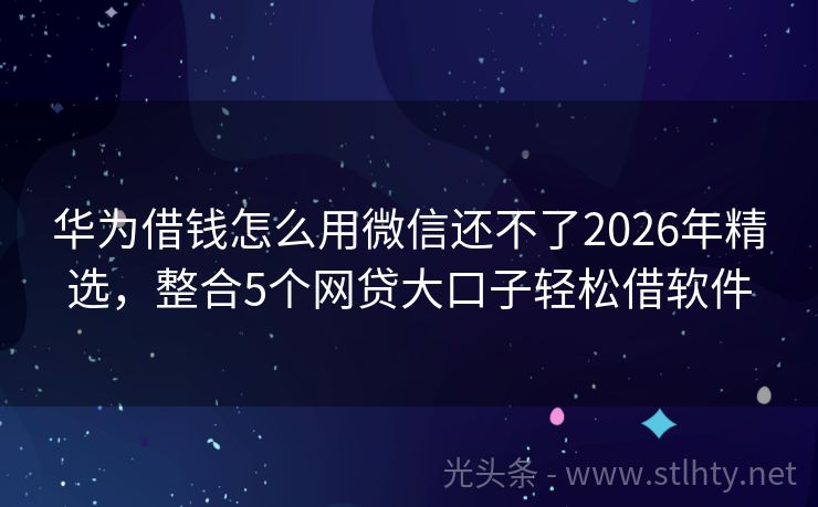 华为借钱怎么用微信还不了2026年精选，整合5个网贷大口子轻松借软件