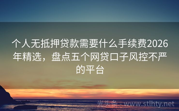 个人无抵押贷款需要什么手续费2026年精选，盘点五个网贷口子风控不严的平台