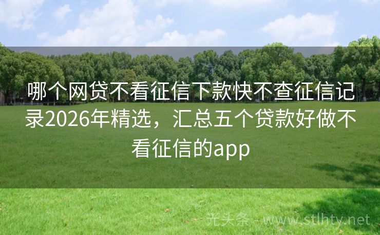 哪个网贷不看征信下款快不查征信记录2026年精选，汇总五个贷款好做不看征信的app