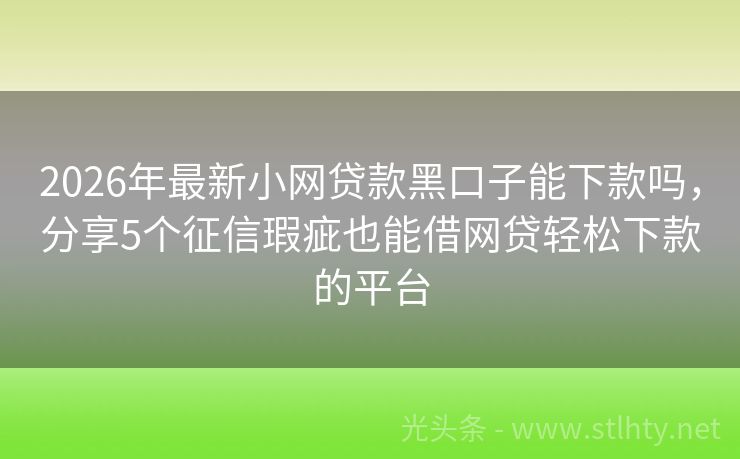2026年最新小网贷款黑口子能下款吗，分享5个征信瑕疵也能借网贷轻松下款的平台