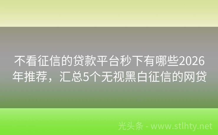 不看征信的贷款平台秒下有哪些2026年推荐，汇总5个无视黑白征信的网贷