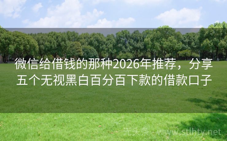 微信给借钱的那种2026年推荐，分享五个无视黑白百分百下款的借款口子