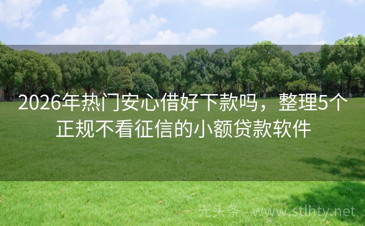 2026年热门安心借好下款吗，整理5个正规不看征信的小额贷款软件