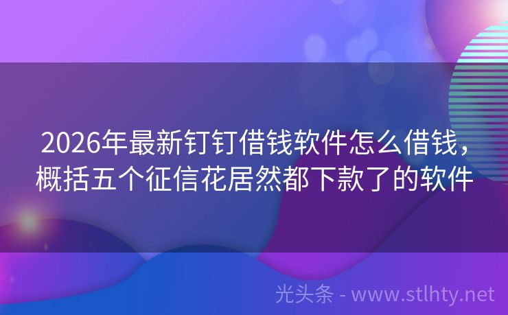 2026年最新钉钉借钱软件怎么借钱，概括五个征信花居然都下款了的软件