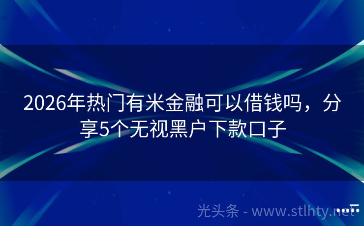 2026年热门有米金融可以借钱吗，分享5个无视黑户下款口子