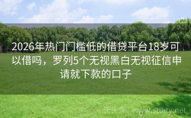 2026年热门门槛低的借贷平台18岁可以借吗，罗列5个无视黑白无视征信申请就下款的口子