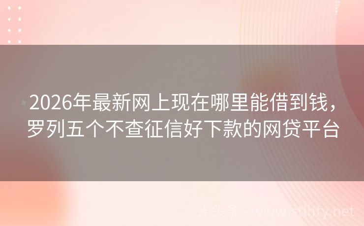 2026年最新网上现在哪里能借到钱，罗列五个不查征信好下款的网贷平台