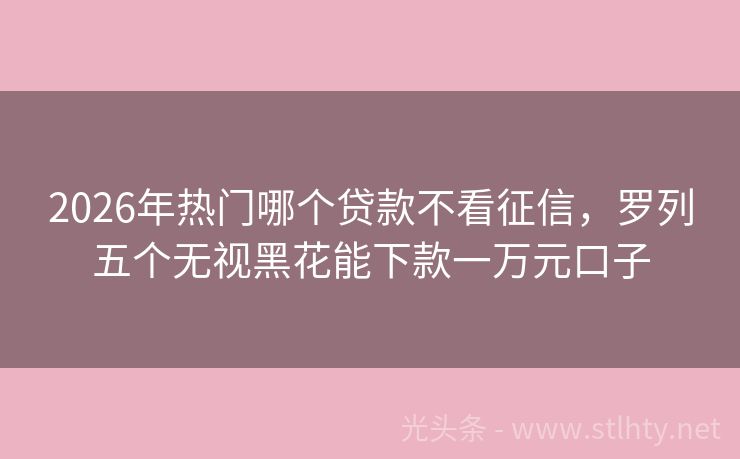 2026年热门哪个贷款不看征信，罗列五个无视黑花能下款一万元口子