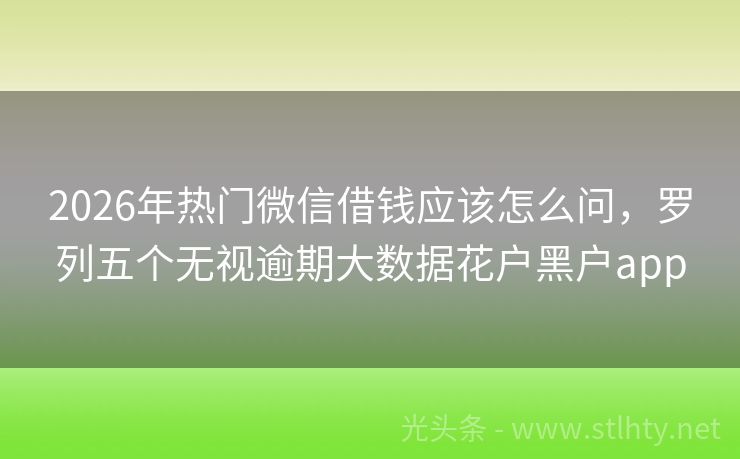 2026年热门微信借钱应该怎么问，罗列五个无视逾期大数据花户黑户app