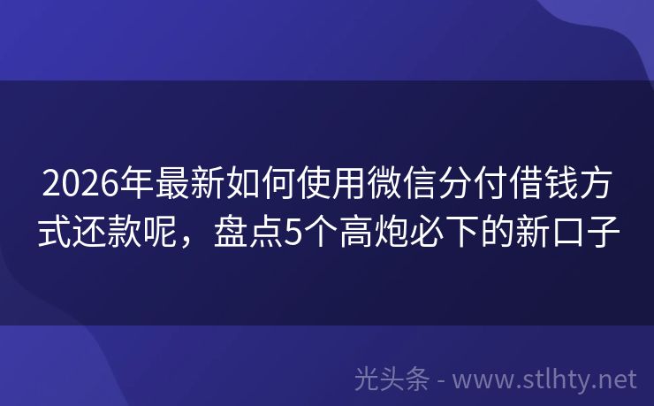 2026年最新如何使用微信分付借钱方式还款呢，盘点5个高炮必下的新口子