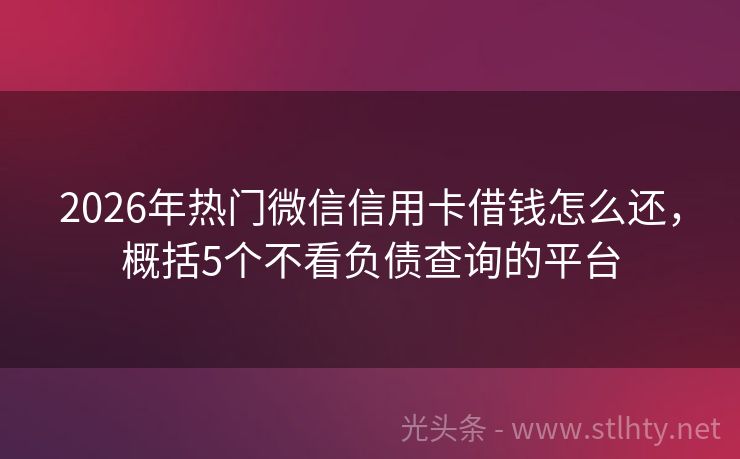 2026年热门微信信用卡借钱怎么还，概括5个不看负债查询的平台