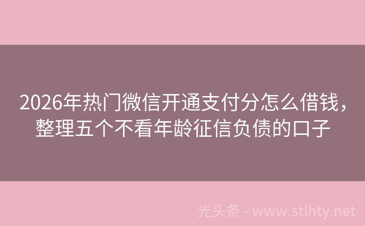 2026年热门微信开通支付分怎么借钱，整理五个不看年龄征信负债的口子